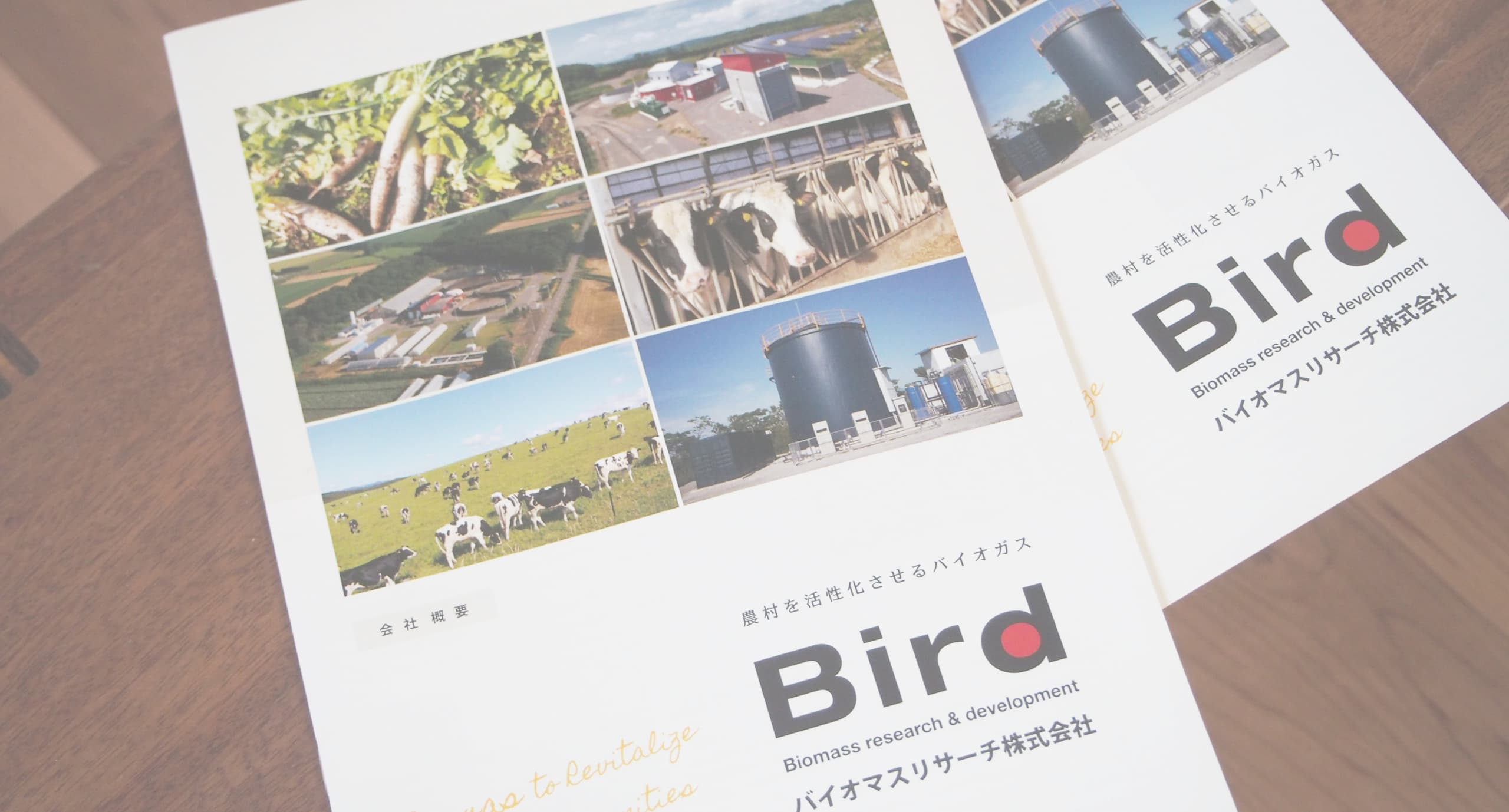 ひよこデザイン　バイオマスリサーチ株式会社　会社案内